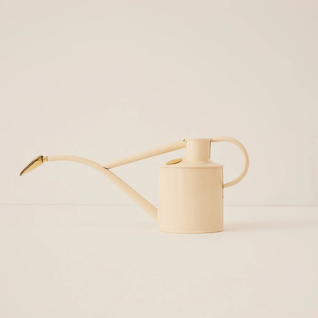 Plant Watering Can