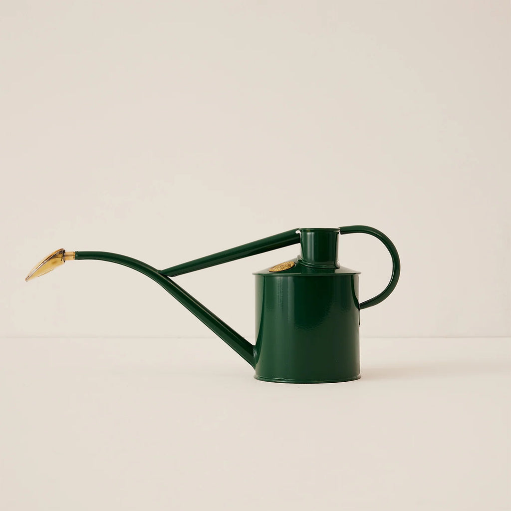 Plant Watering Can