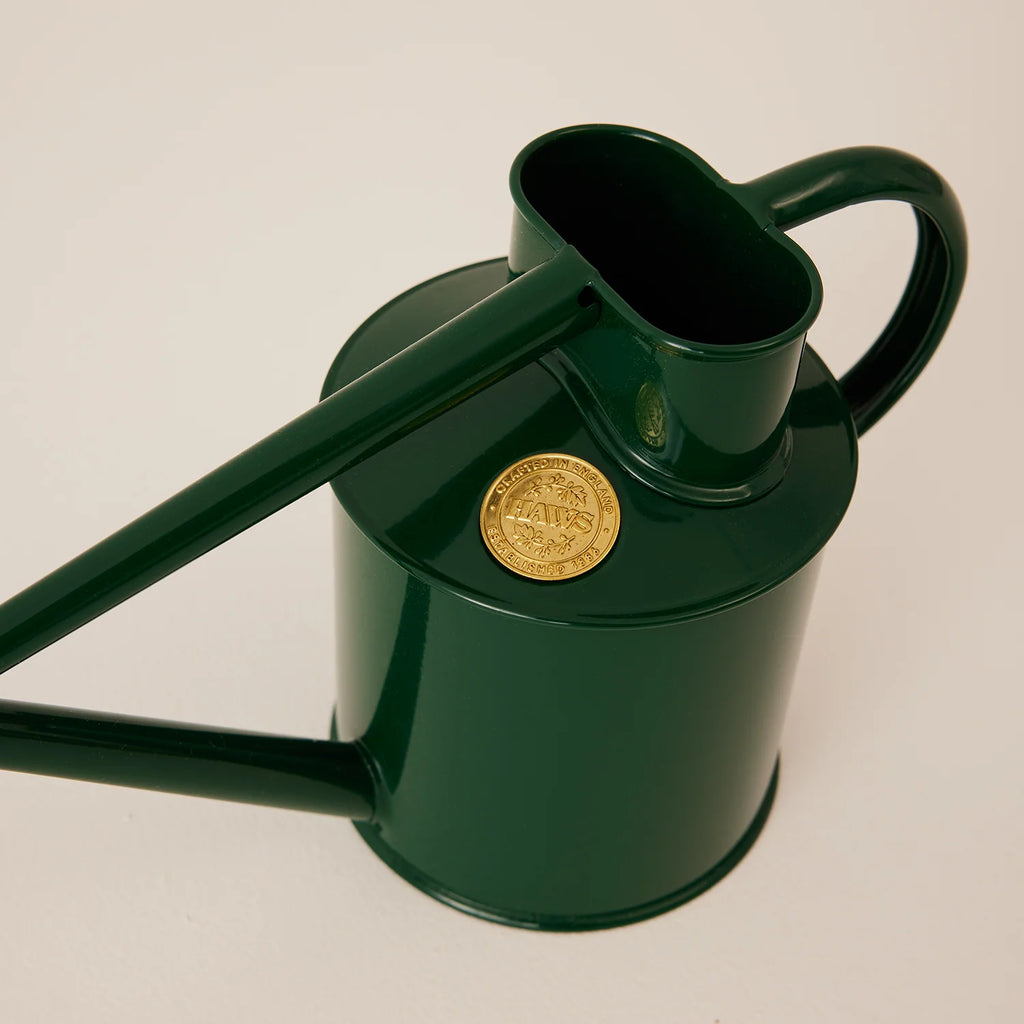Plant Watering Can