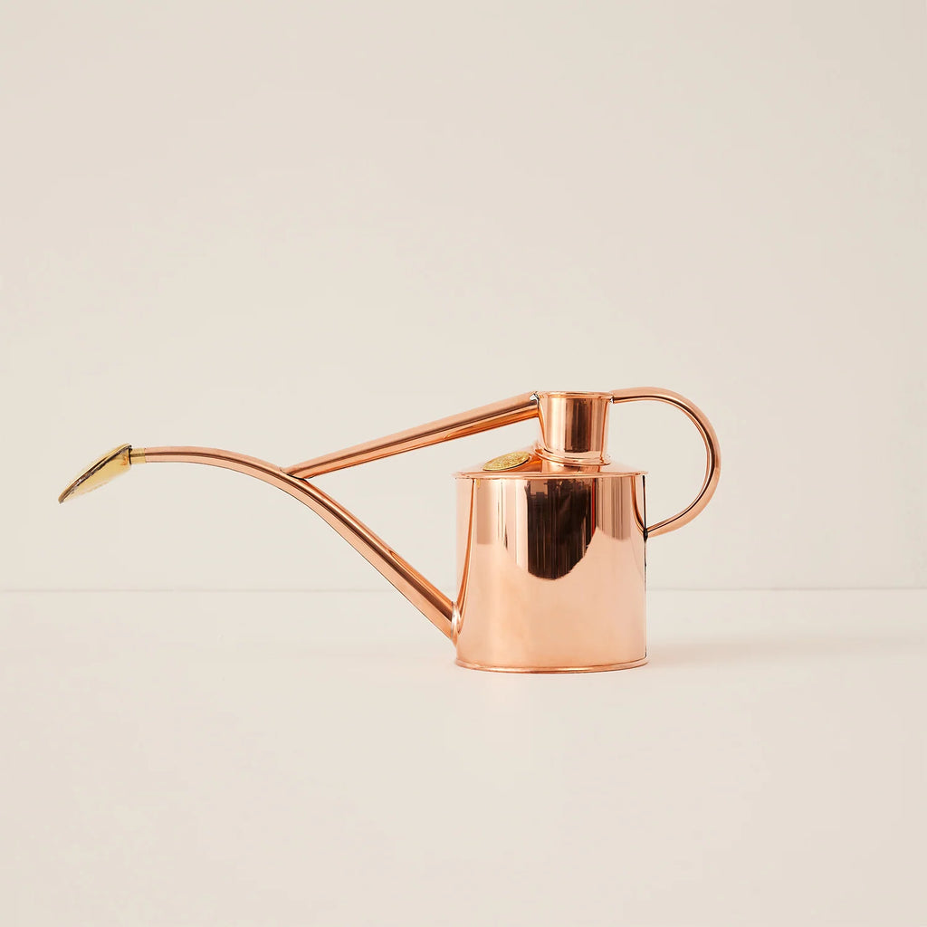 Plant Watering Can