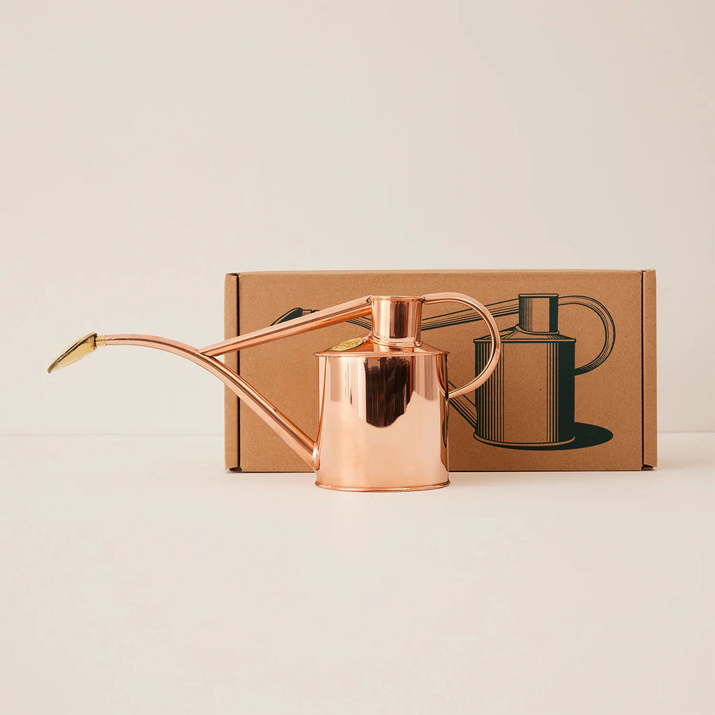 Plant Watering Can