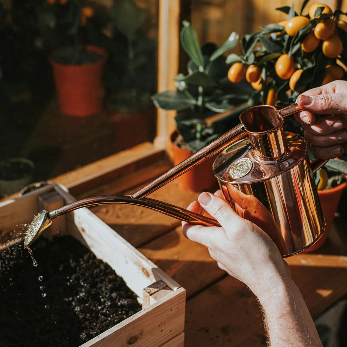 Plant Watering Can
