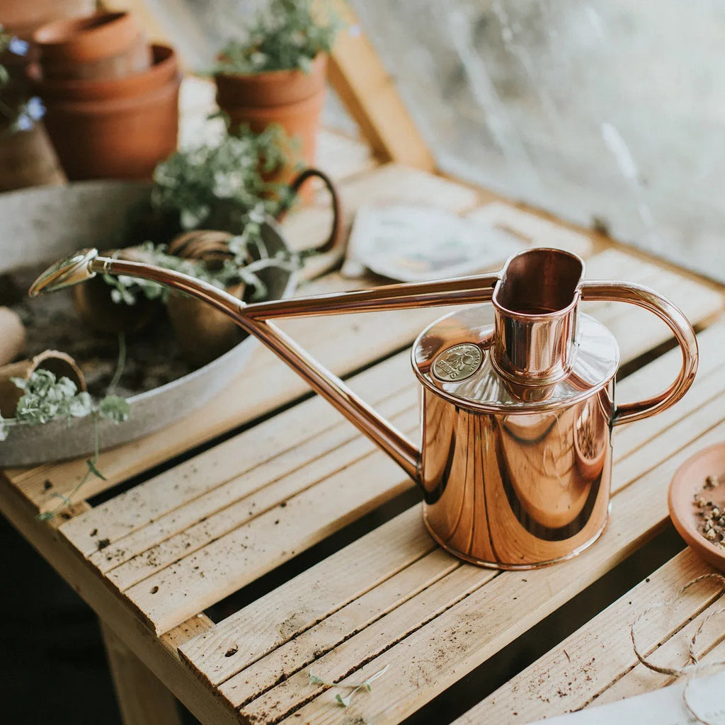 Plant Watering Can