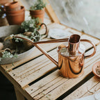 Plant Watering Can