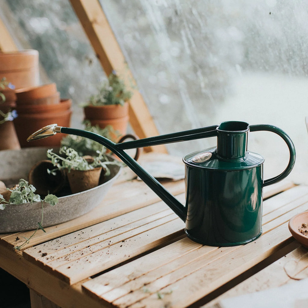 Plant Watering Can