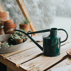 Plant Watering Can