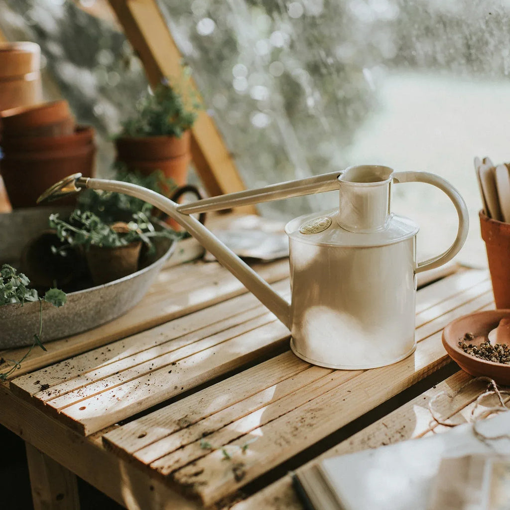 Plant Watering Can