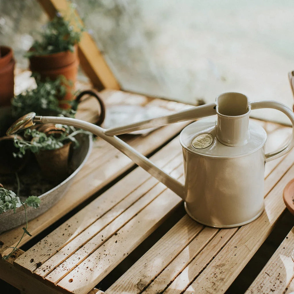 Plant Watering Can