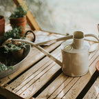 Plant Watering Can