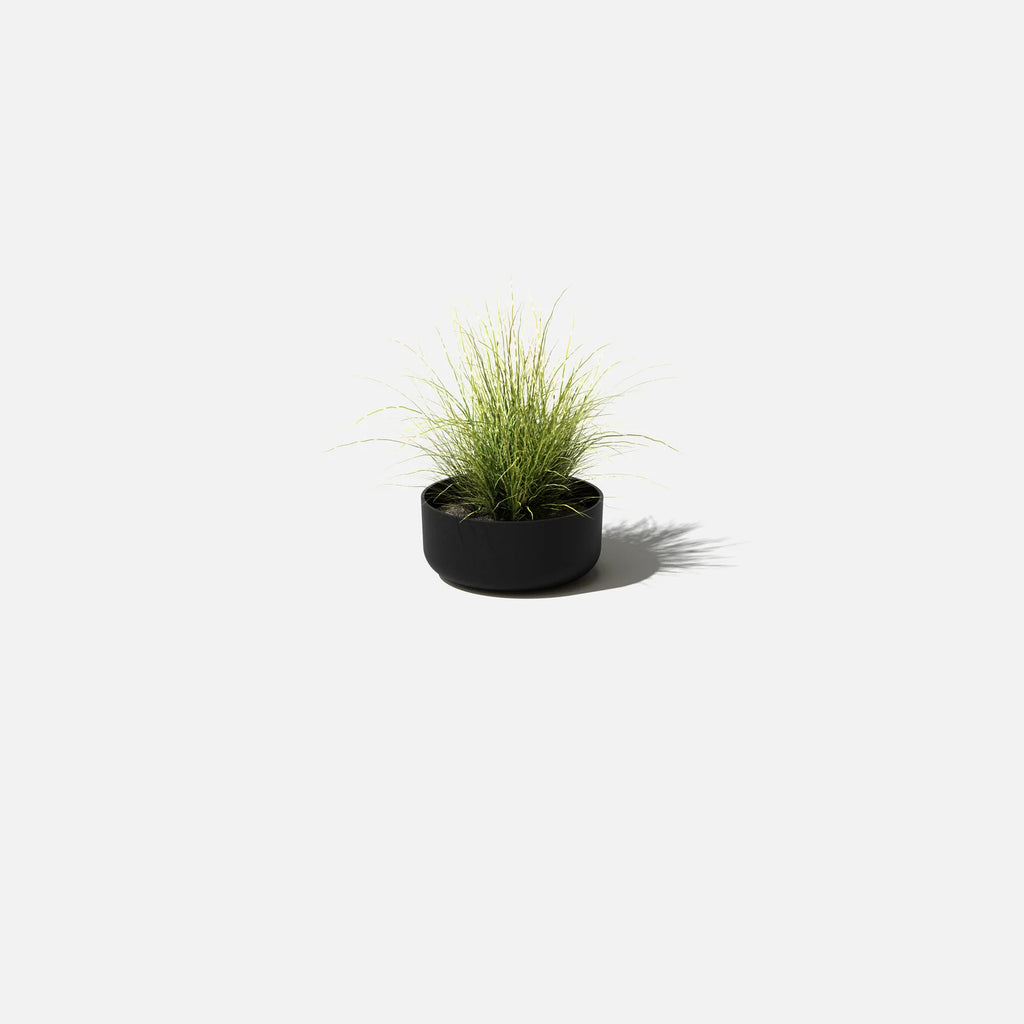 Planters, black-one pack