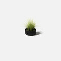 Planters, black-one pack