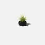 Planters, black-one pack