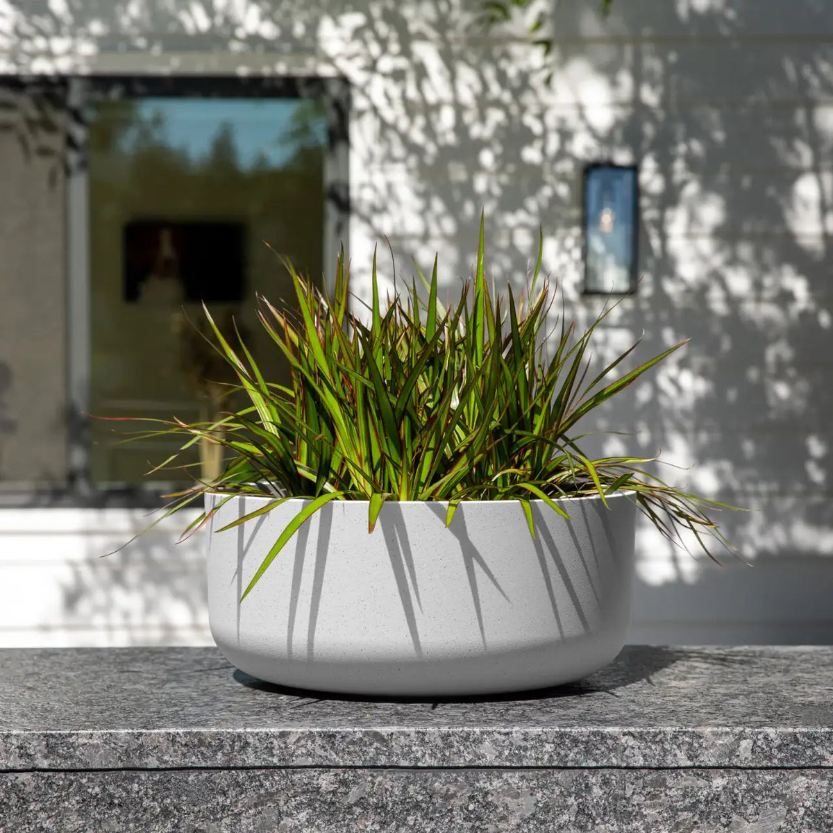 Planters
