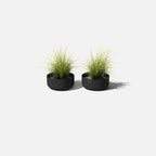 Planters