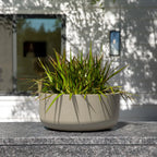 Planters