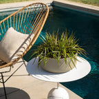 Planters