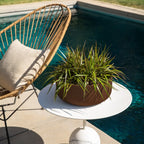 Planters