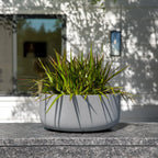 Planters