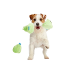 Plush Multi-Part Dog Toy with Glow-in-the-Dark Finish, Crinkle Texture and Three Squeakers