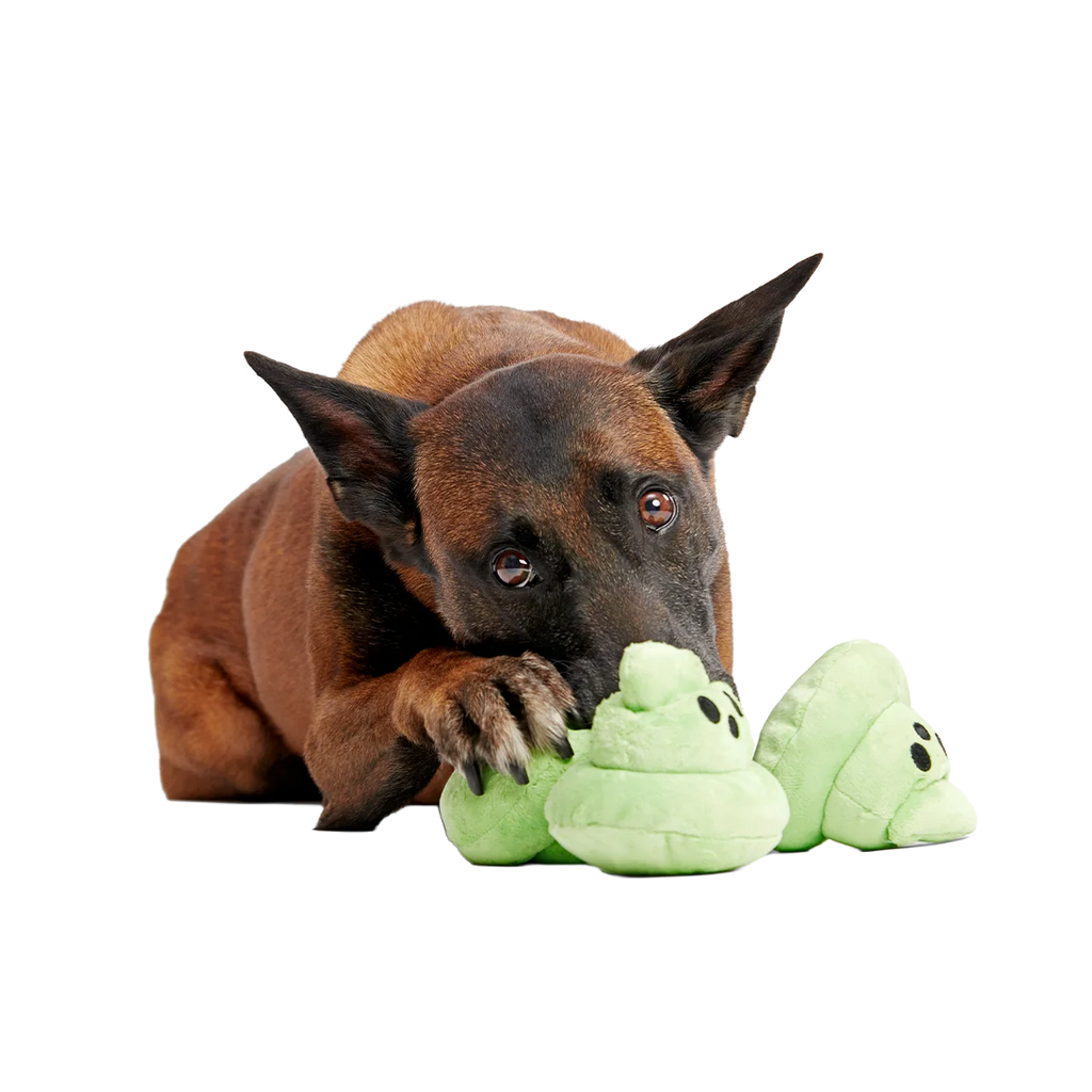 Plush Multi-Part Dog Toy with Glow-in-the-Dark Finish, Crinkle Texture and Three Squeakers