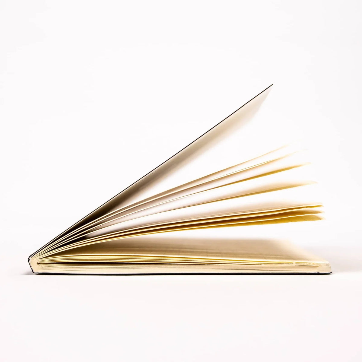 Pocket Dot Grid Notebooks in a Pack of 3