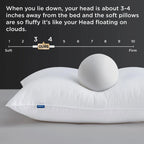 Polyester Hotel Pillows