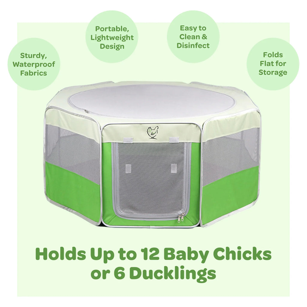 Pop-Up Chick Brooder Pen with Enclosed Octagon Design, Zippered Access and Flat-Folding Indoor Setup