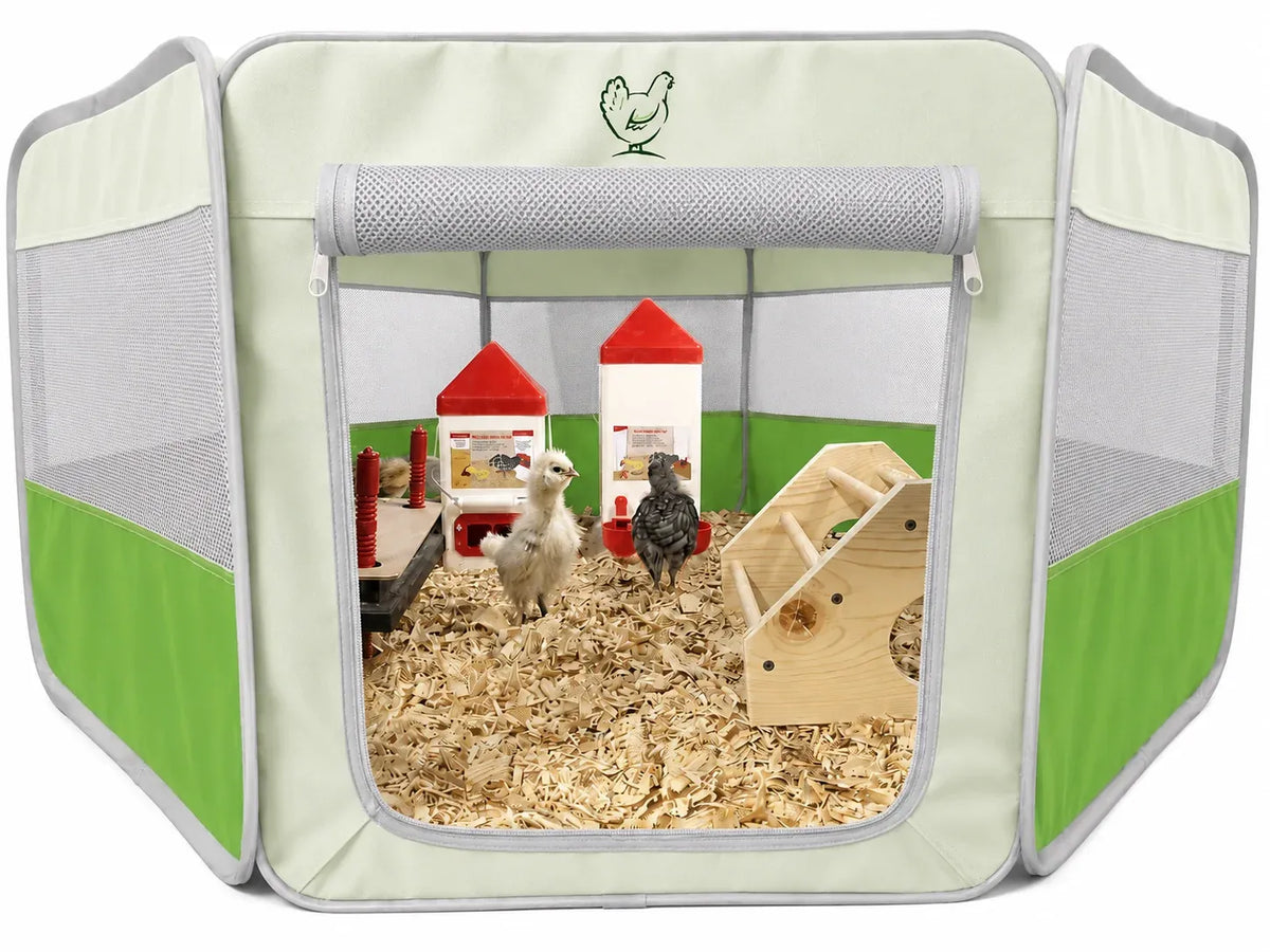Pop-Up Chick Brooder Pen with Enclosed Octagon Design, Zippered Access and Flat-Folding Indoor Setup