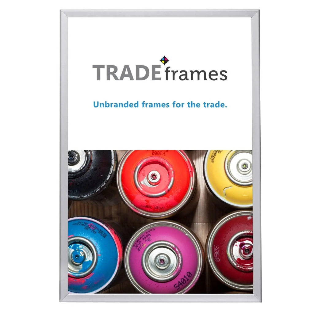 Poster Snap Frame in Silver