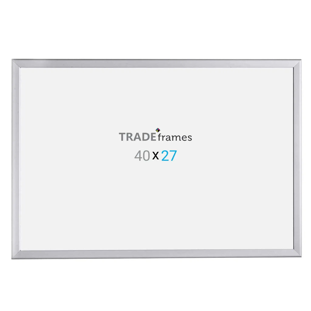 Poster Snap Frame in Silver