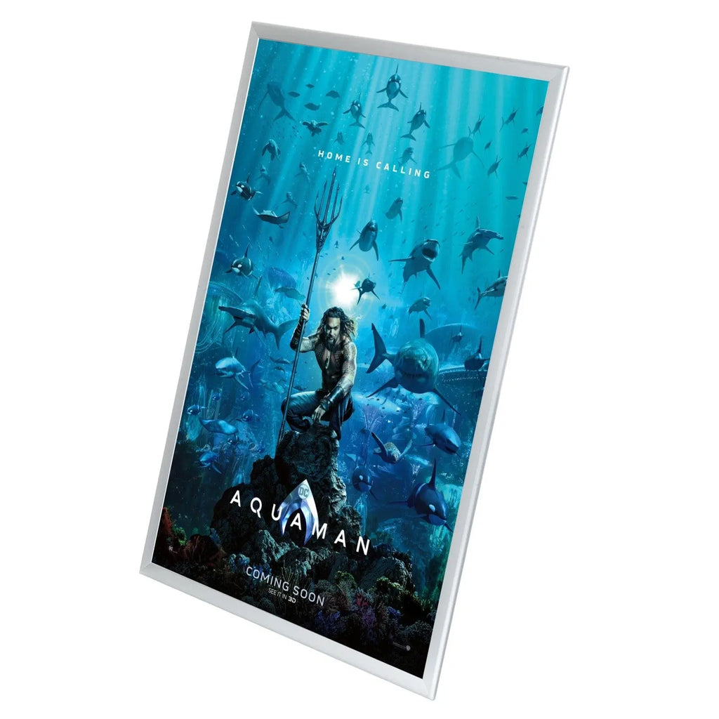 Poster Snap Frame in Silver