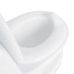 Potty Training Toilet