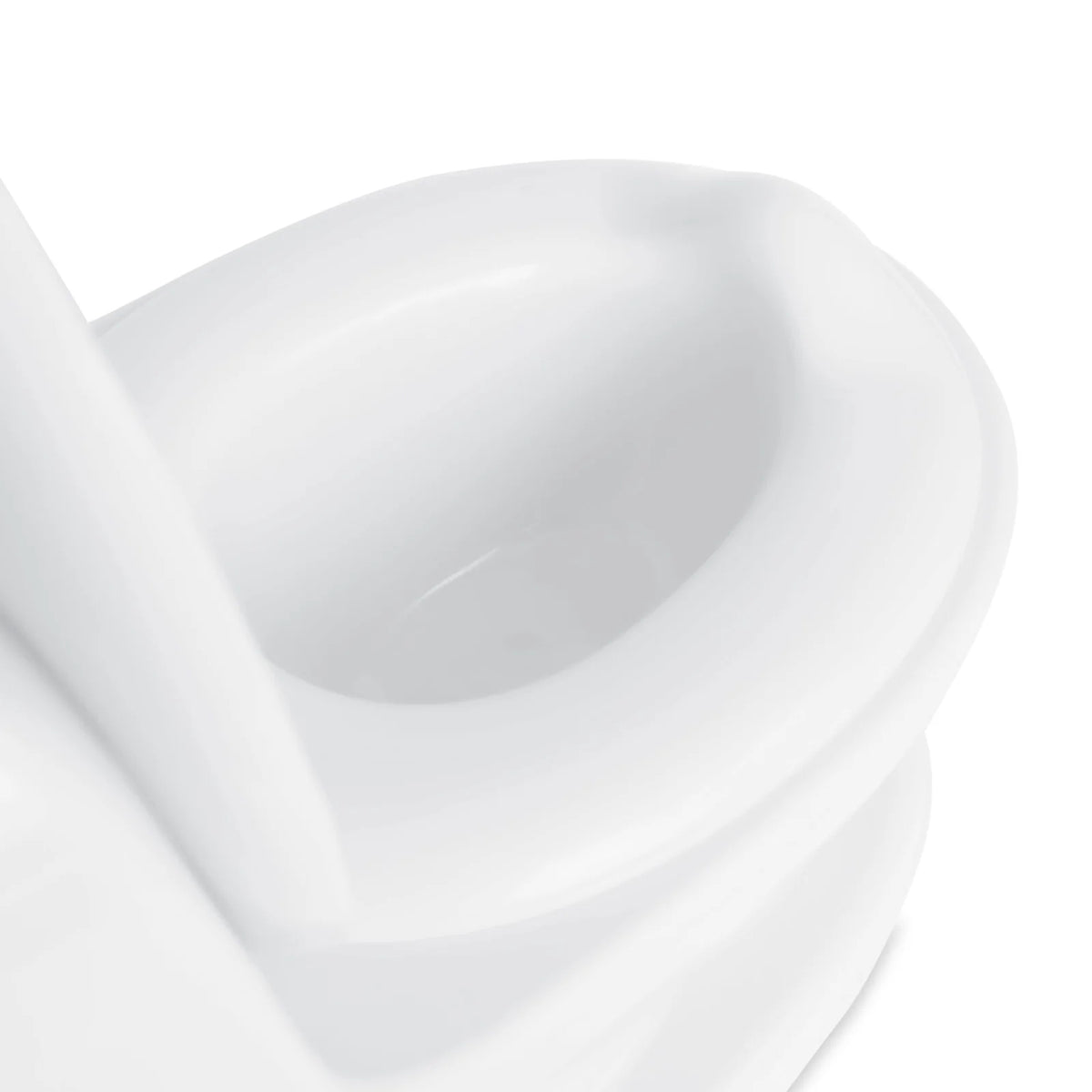 Potty Training Toilet