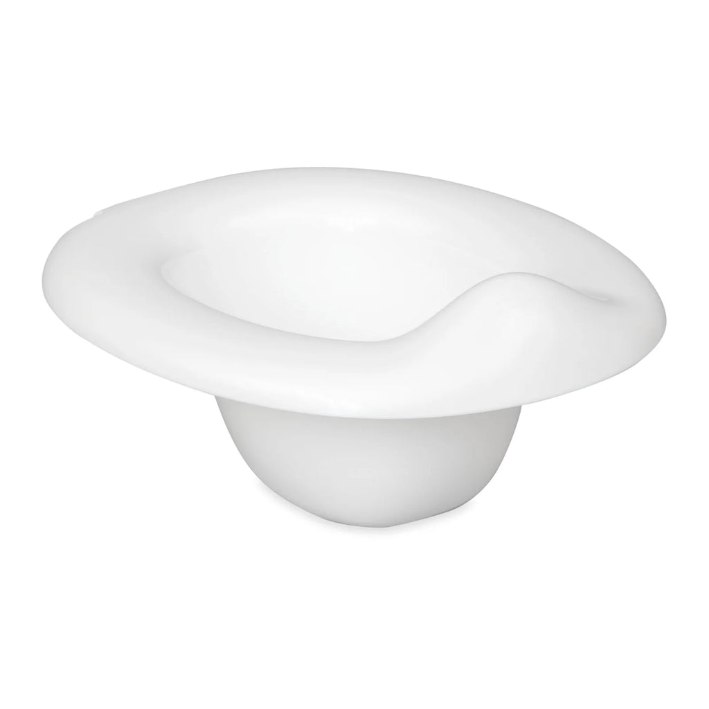 Potty Training Toilet