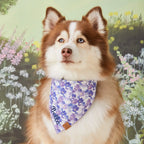 Pressed Pansies Dog Bandana