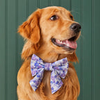Pressed Pansies Dog Bow with Sailor Tails, Elastic Collar Loops, Cotton Design and Small or Large Sizes