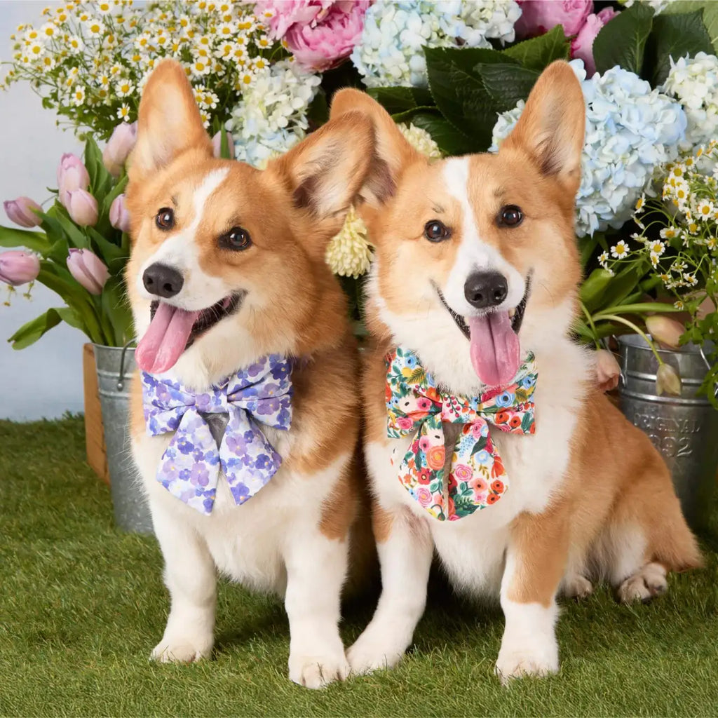 Pressed Pansies Dog Bow with Sailor Tails, Elastic Collar Loops, Cotton Design and Small or Large Sizes