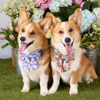Pressed Pansies Dog Bow with Sailor Tails, Elastic Collar Loops, Cotton Design and Small or Large Sizes