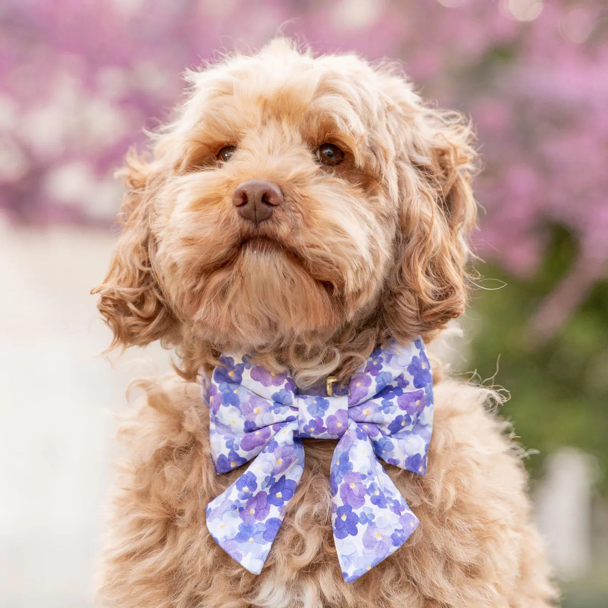 Pressed Pansies Dog Bow with Sailor Tails, Elastic Collar Loops, Cotton Design and Small or Large Sizes
