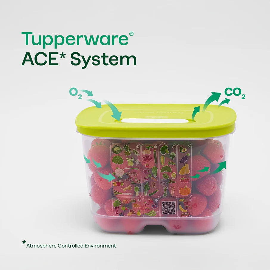 Small Deep Produce Storage Container