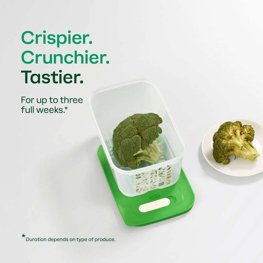 Produce Storage Container