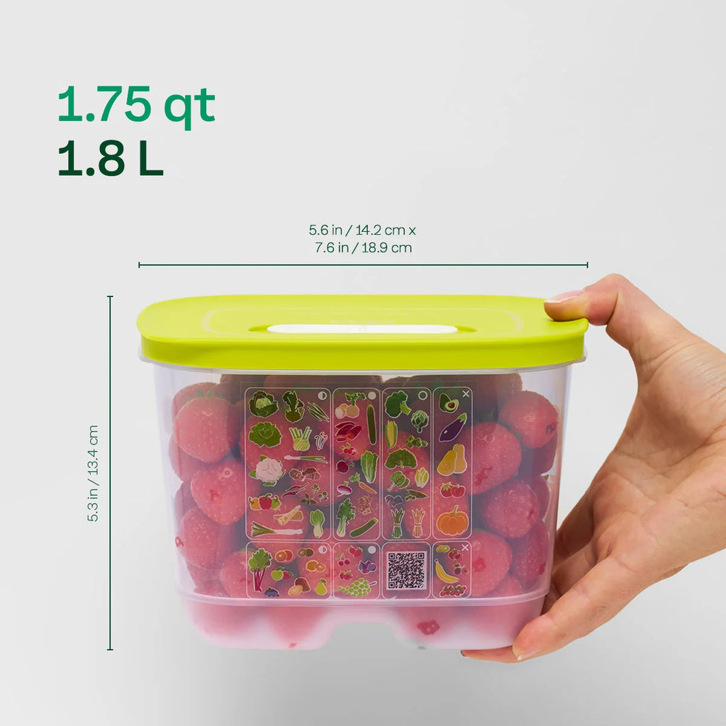 Small Deep Produce Storage Container