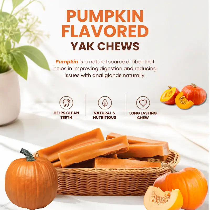 Pumpkin Yak Cheese Dog Chews
