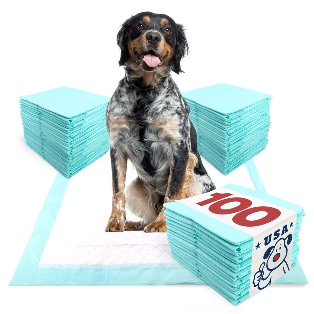 Puppy Training Pads, Large 28 x 30 Inch, 100 Count Bulk Pack