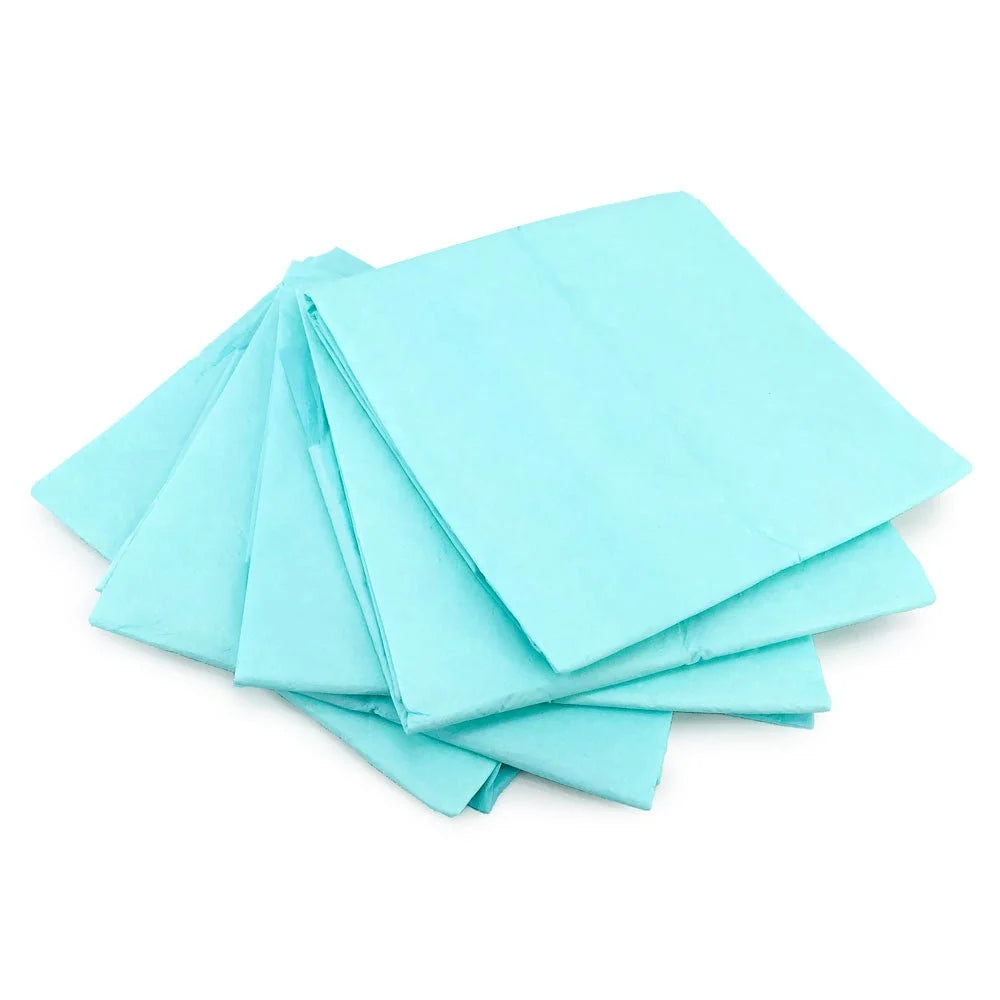 Puppy Training Pads, Large 28 x 30 Inch, 100 Count Bulk Pack