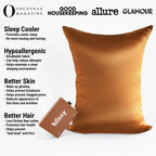 Queen Bronze Mulberry Silk Pillowcase, 22-Momme 100% Pure Silk,