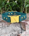 Quick Release Dog Collar with Waterproof Material and a Two-Tone Design for Everyday Walks and Hikes