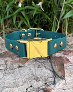 Quick Release Dog Collar with Waterproof Material and a Two-Tone Design for Everyday Walks and Hikes