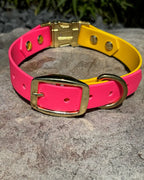 Quick Release Dog Collar with Waterproof Material and a Two-Tone Design for Everyday Walks and Hikes