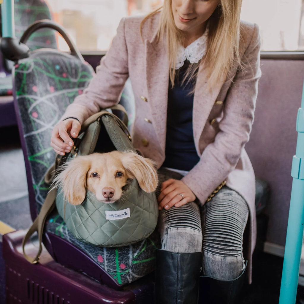 Quilted Dog Carrier and Travel Bed